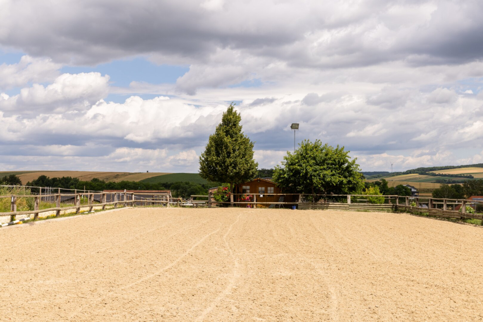 Den Koppeln vorgelagerter Reitplatz mit einem Dressurviereck